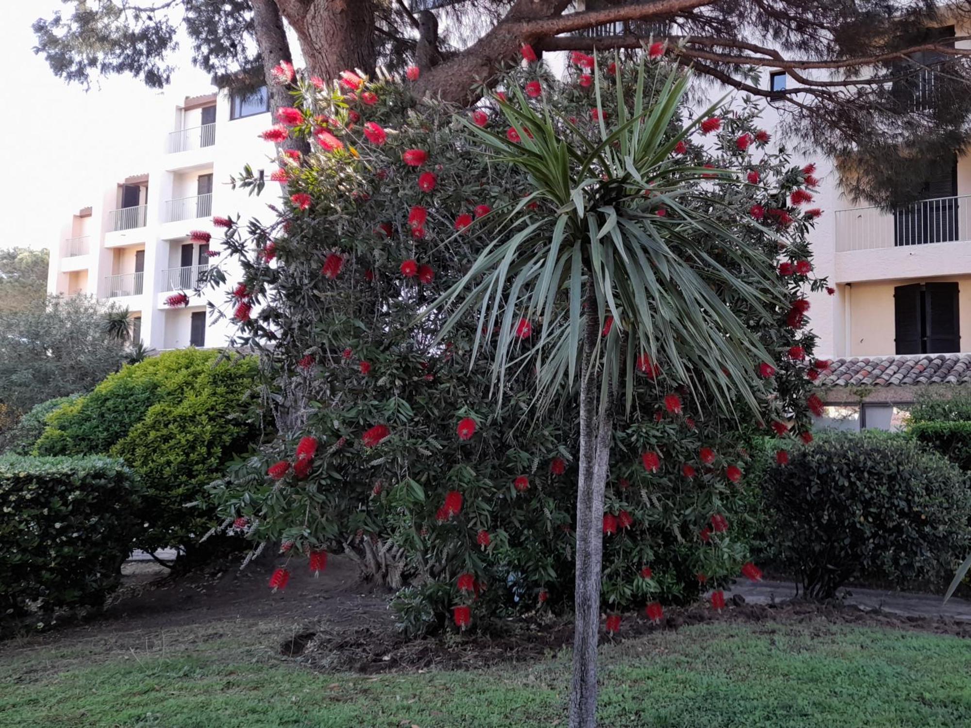 דירות קוגולין Marina Bella מראה חיצוני תמונה